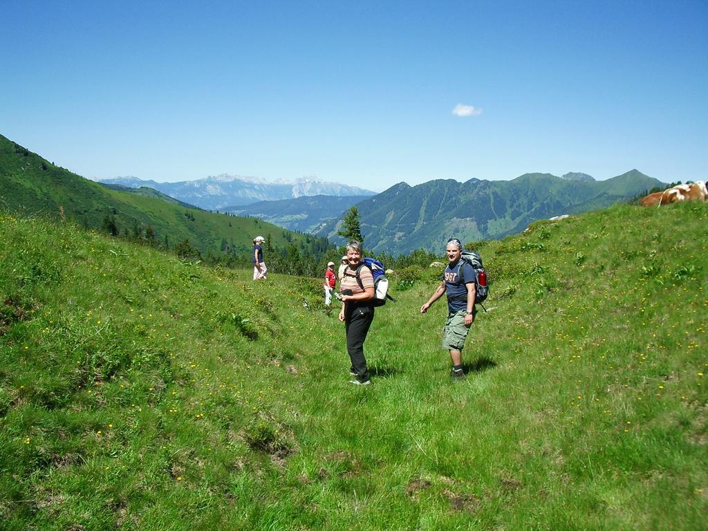 Ferienwohnung Der Perweinhof Donnersbachwald Exterior foto