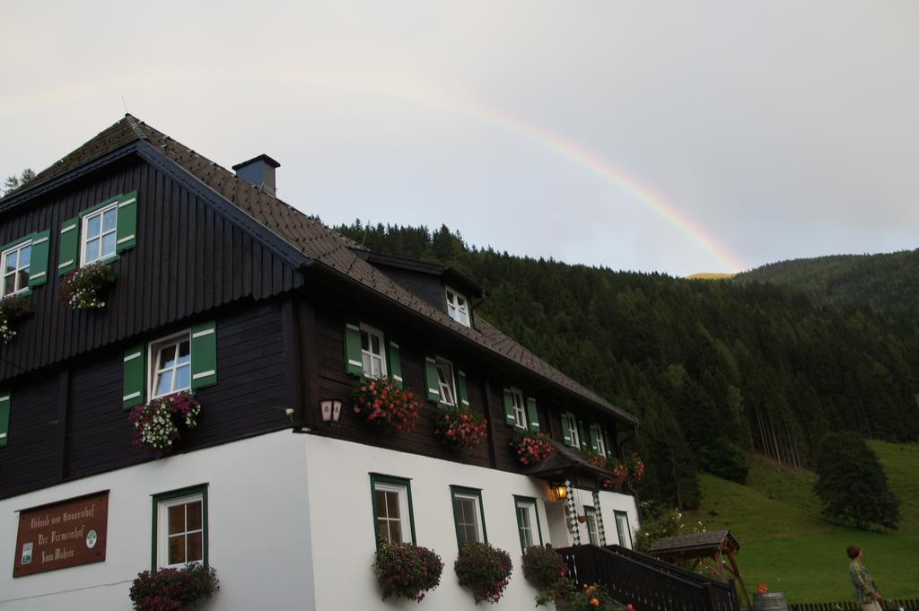 Ferienwohnung Der Perweinhof Donnersbachwald Exterior foto