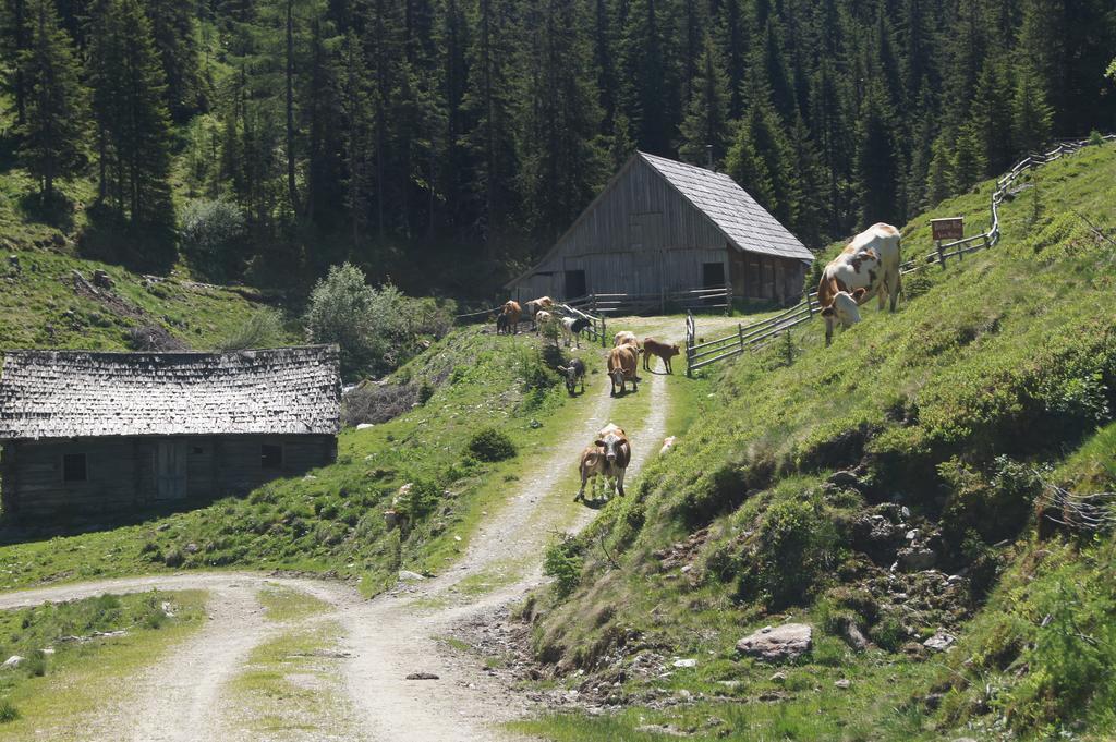 Ferienwohnung Der Perweinhof Donnersbachwald Exterior foto