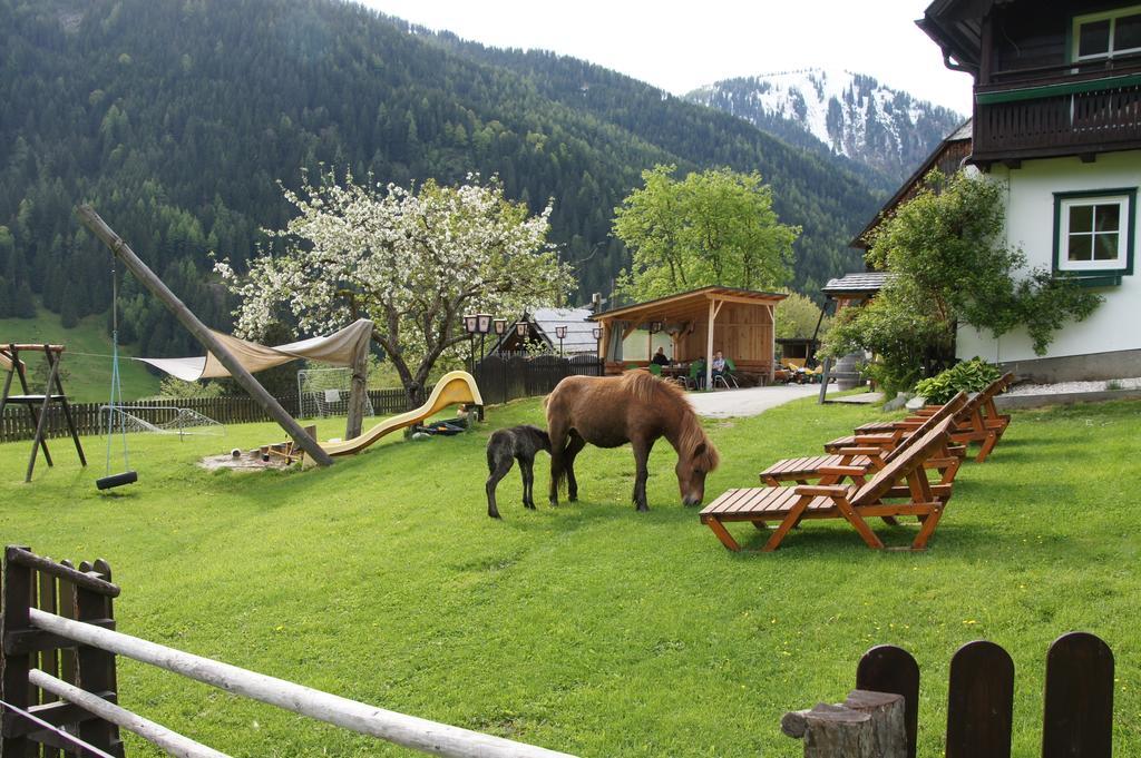 Ferienwohnung Der Perweinhof Donnersbachwald Exterior foto