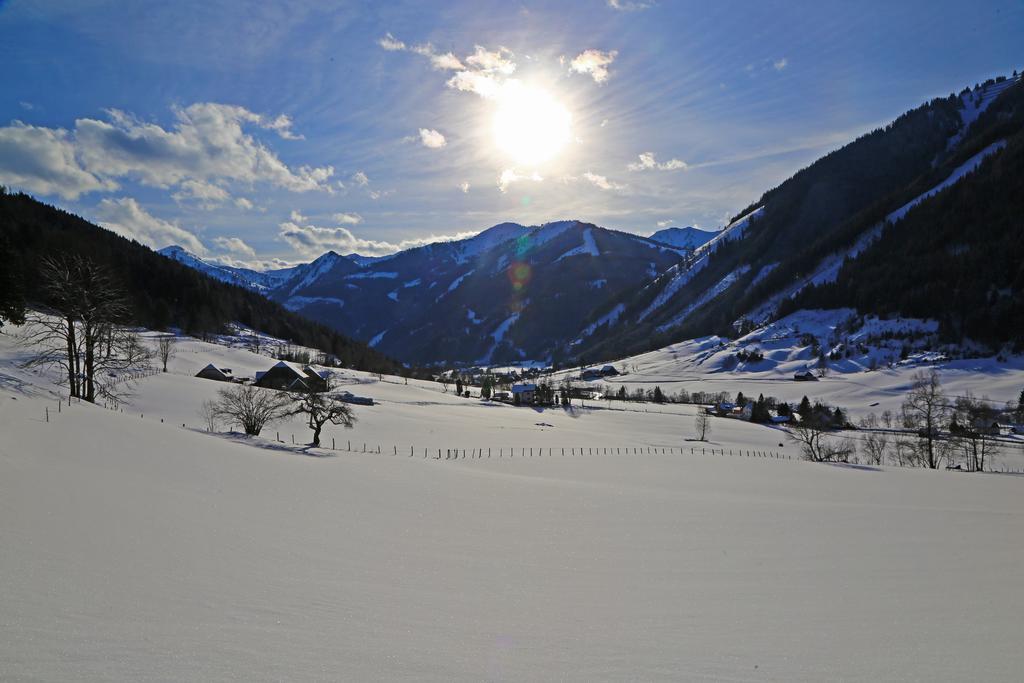 Ferienwohnung Der Perweinhof Donnersbachwald Exterior foto