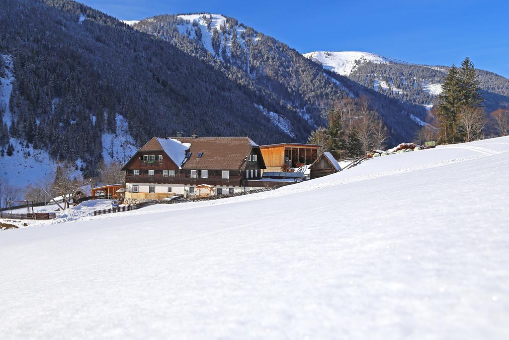 Ferienwohnung Der Perweinhof Donnersbachwald Exterior foto