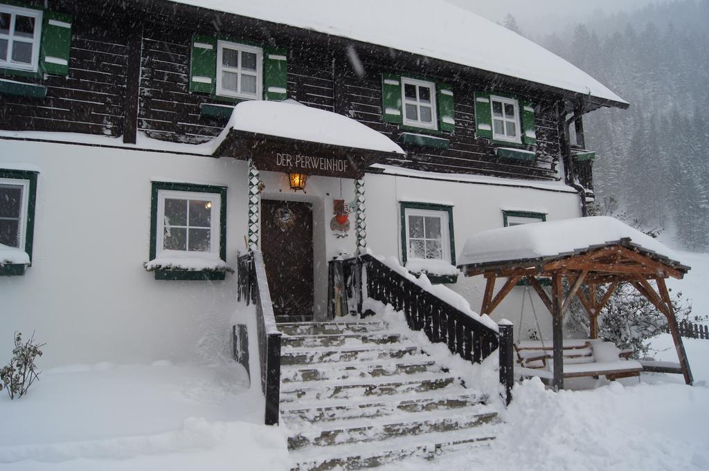Ferienwohnung Der Perweinhof Donnersbachwald Exterior foto