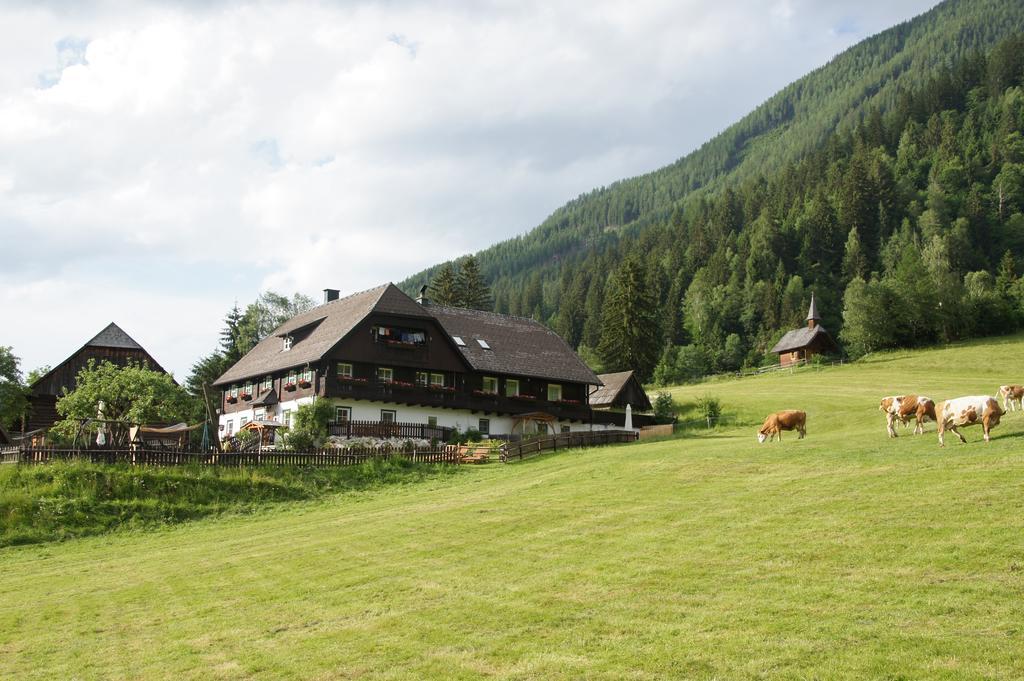Ferienwohnung Der Perweinhof Donnersbachwald Exterior foto